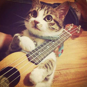 真人酱酱酿酿视频的拍摄地点
