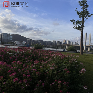 真人酱酱酿酿视频的拍摄地点
